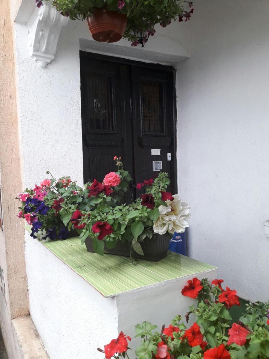 Guest House The House Пловдив Екстериор снимка
